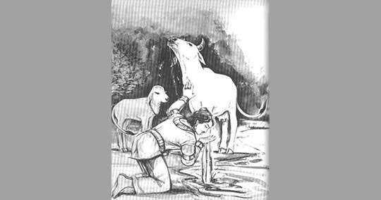 PAVITROPANA Ekadashi Vrata