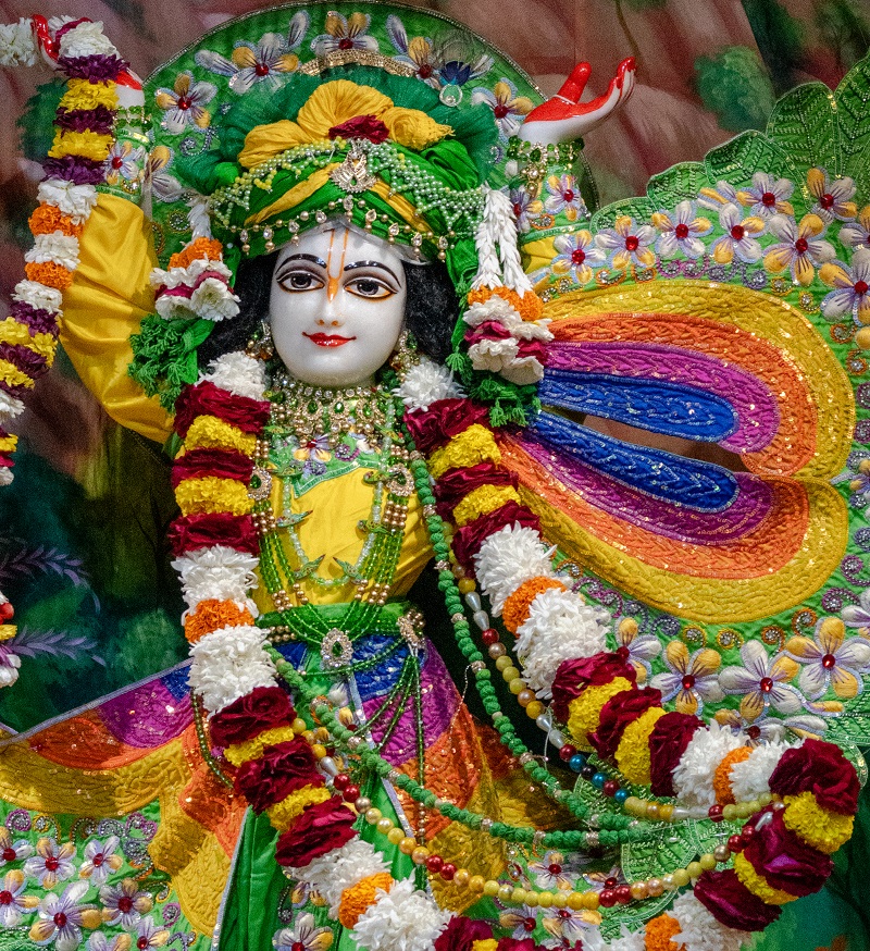 Devotees or temple activity