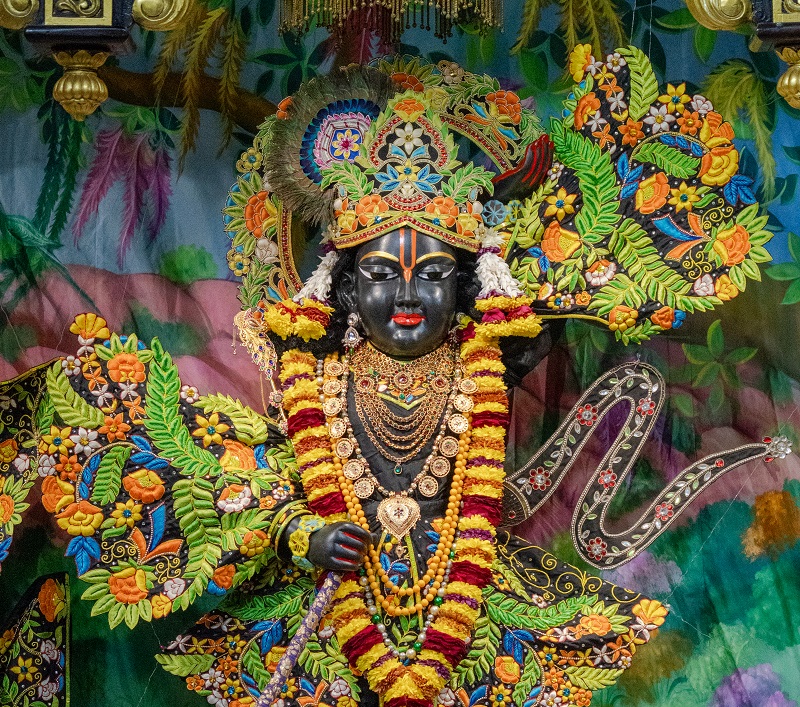 Ratha Yatra or procession