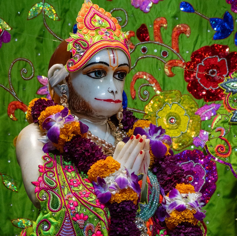 Devotees or temple activity